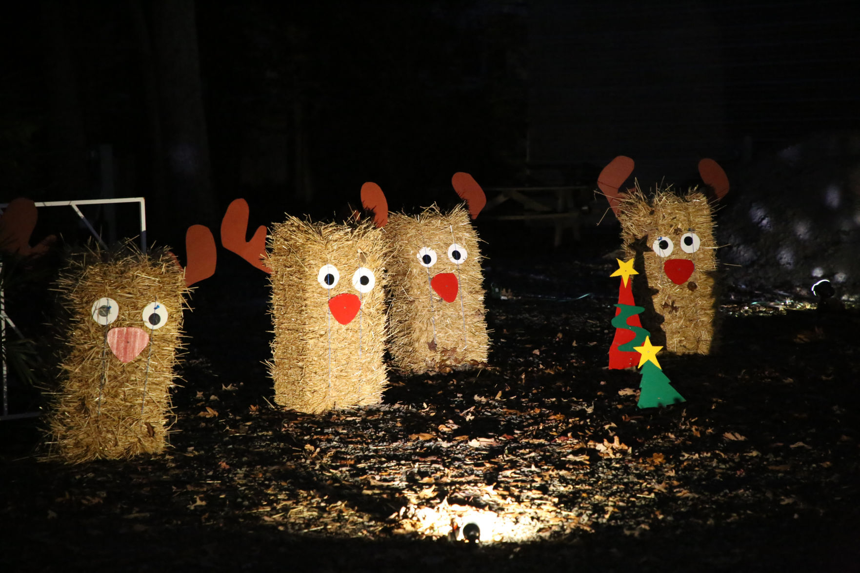Festival of Lights